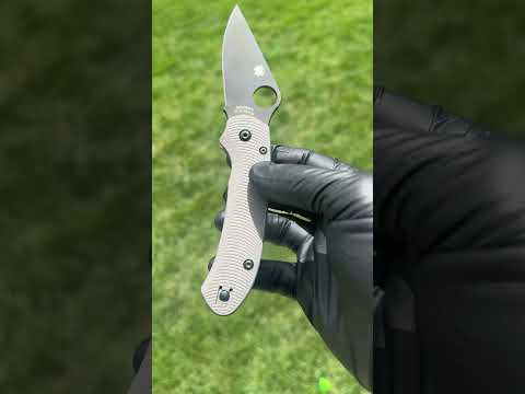 Spyderco Para 3 LW Scale — Stone Gray Anodize