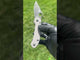 Spyderco Para 3 LW Scale — Stone Gray Anodize