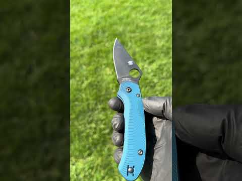 Spyderco Para 3 LW Scale — Slate Blue Anodize