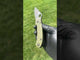 Spyderco Para 3 LW Scale — Olive Drab Anodize